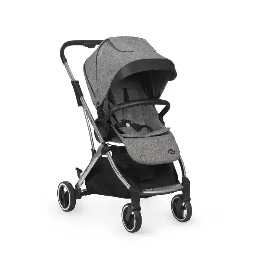 Carro de Paseo Gris